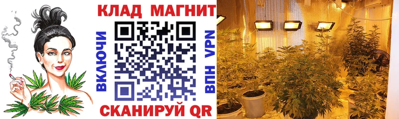 Названия наркотиков Ярославль Alpha-PVP  МЕФ  Кокаин  Гашиш  АМФЕТАМИН  МАРИХУАНА 