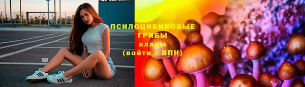 дурь Каменногорск