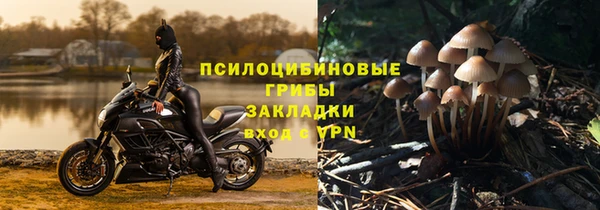 apvp Карталы