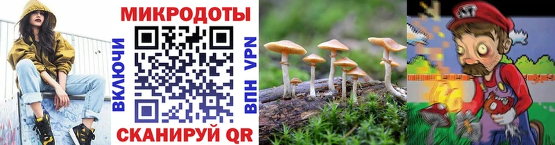 блэк спрут ссылка Ярославль Псилоцибиновые грибы мицелий